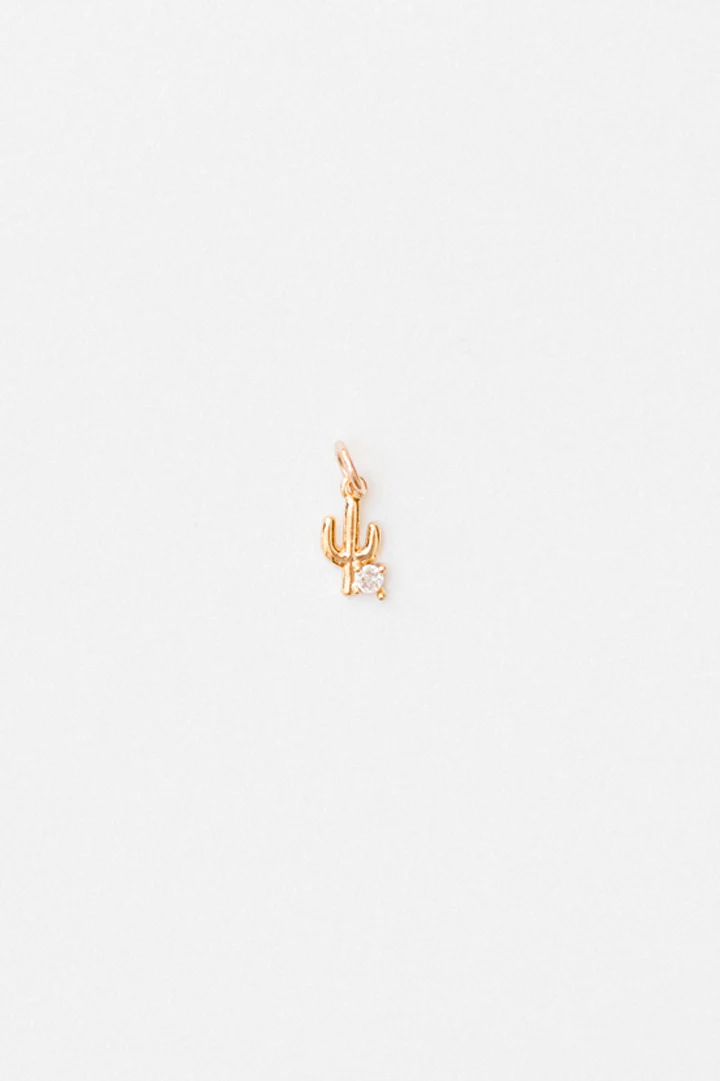Cactus Charm