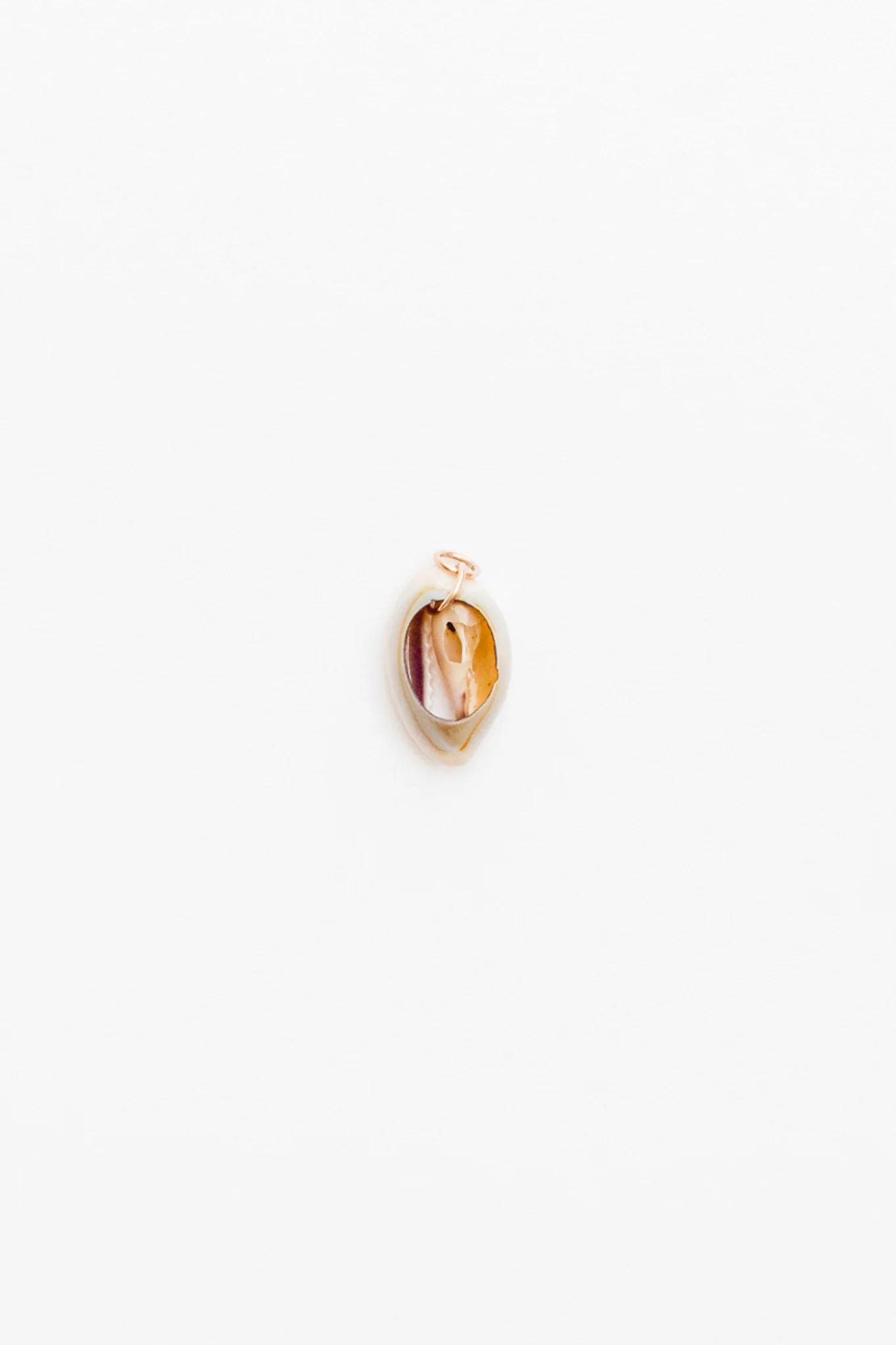 Cowrie Shell Charm