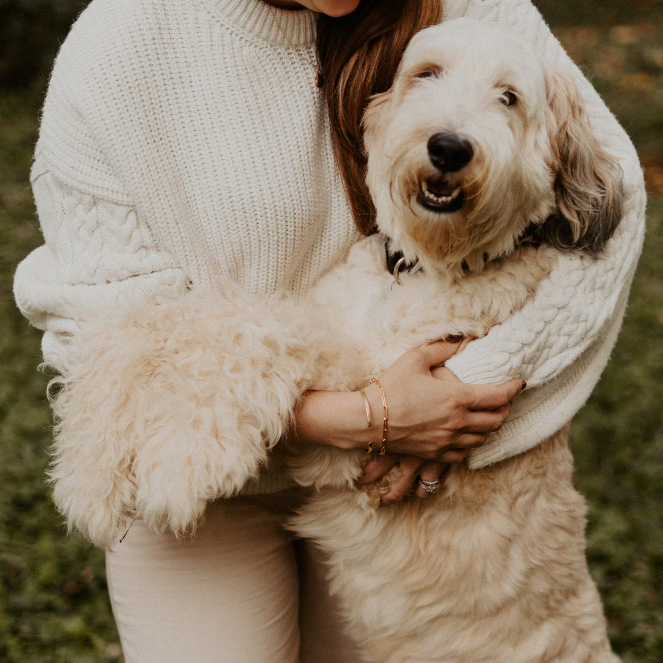 Pet Tag - Image 7