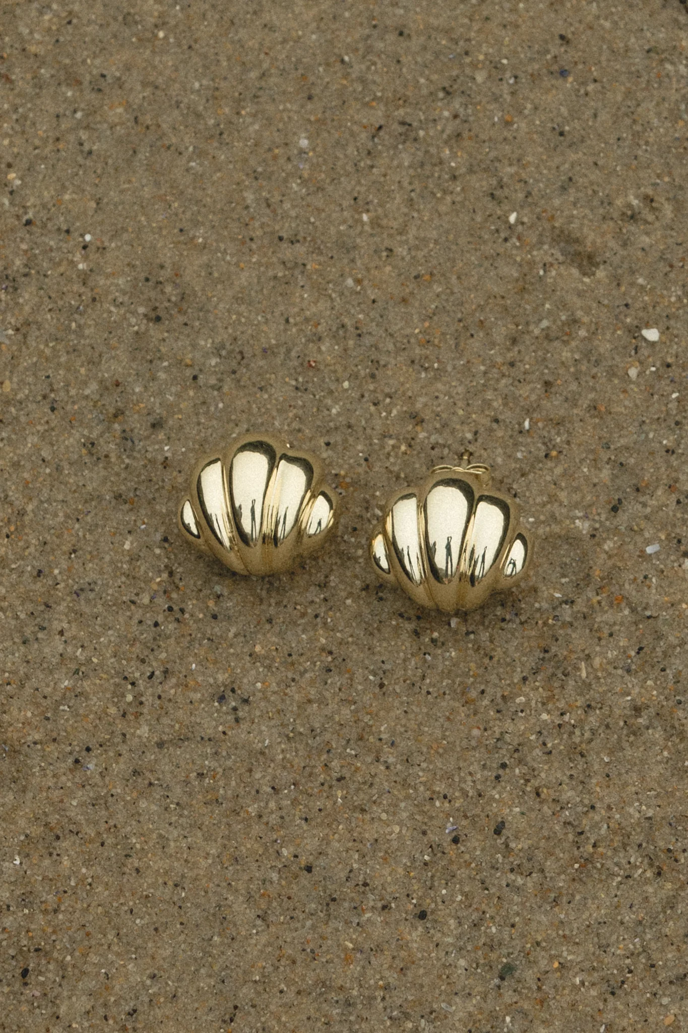Oversized Shell Studs - Image 3