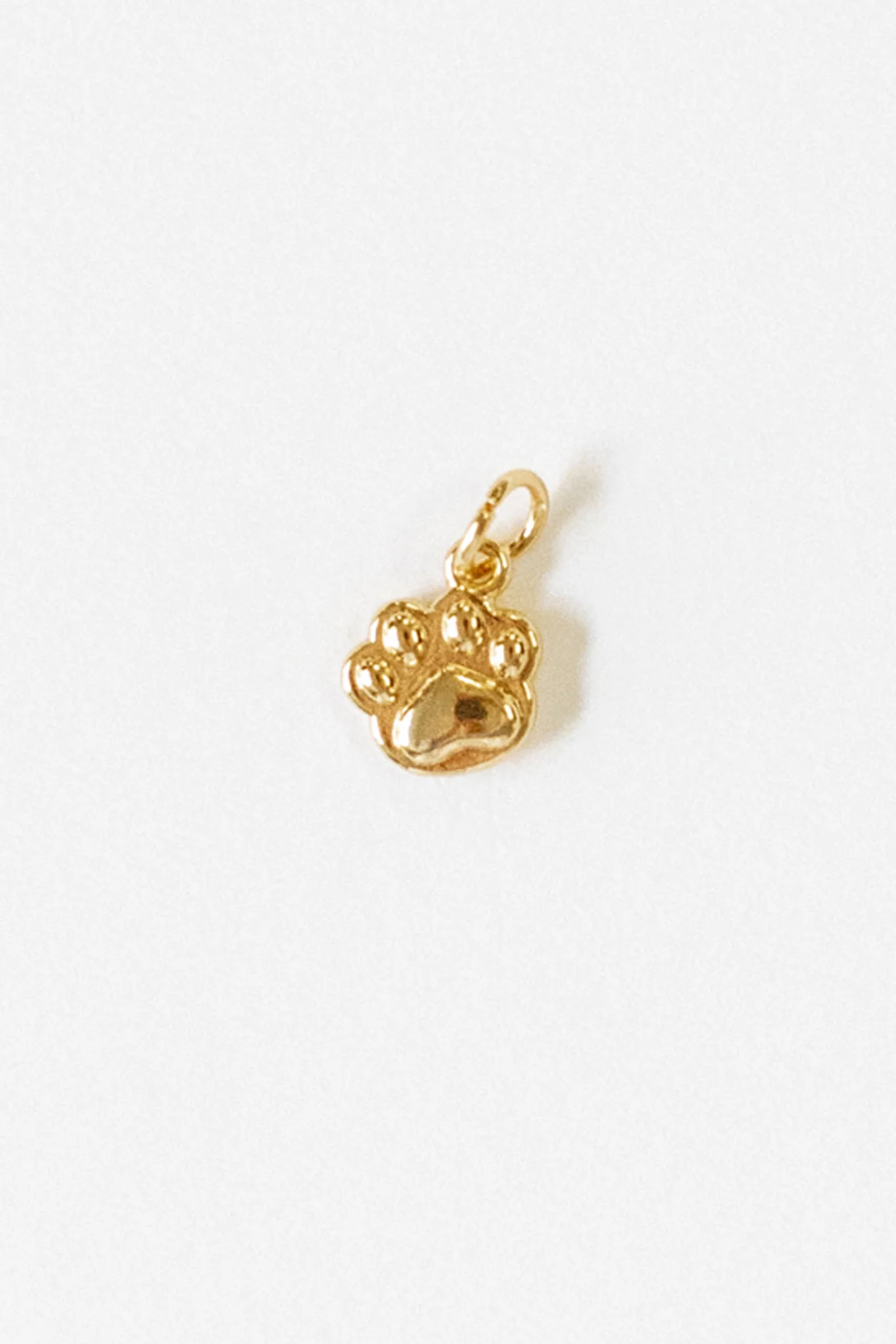 Paw Print Charm