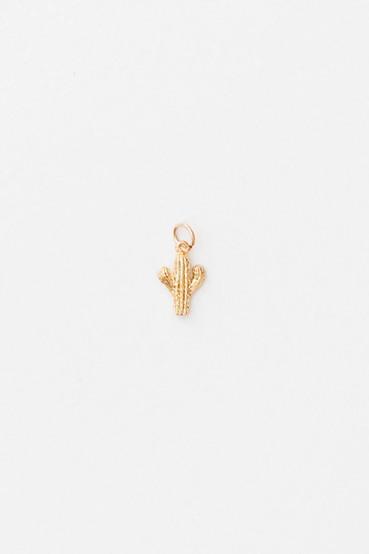 Rhinestone Cactus Charm