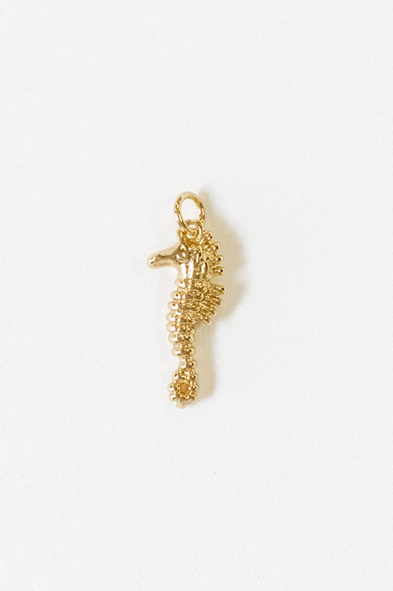 Seahorse Charm