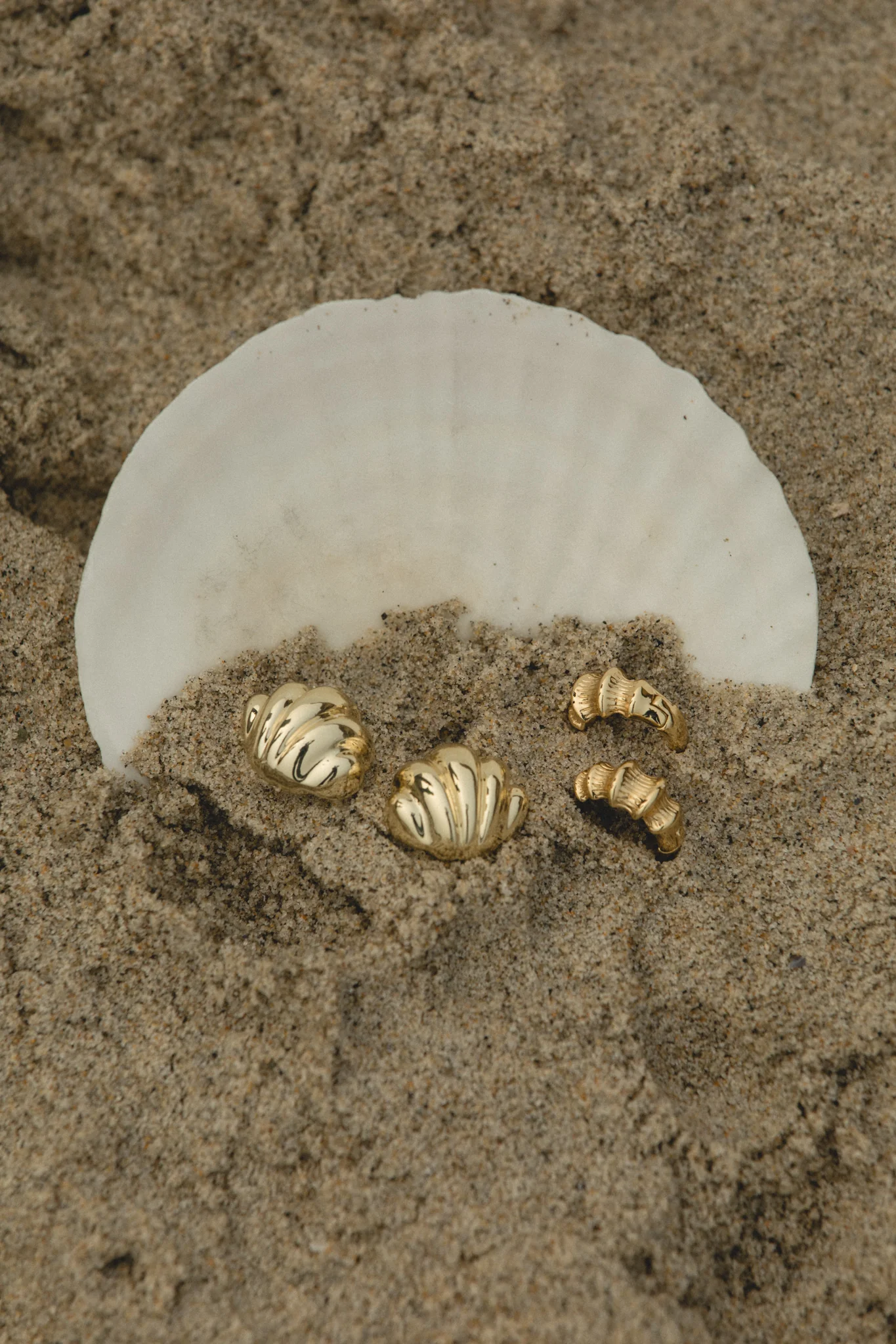 Seashell Small Hoops - Image 3