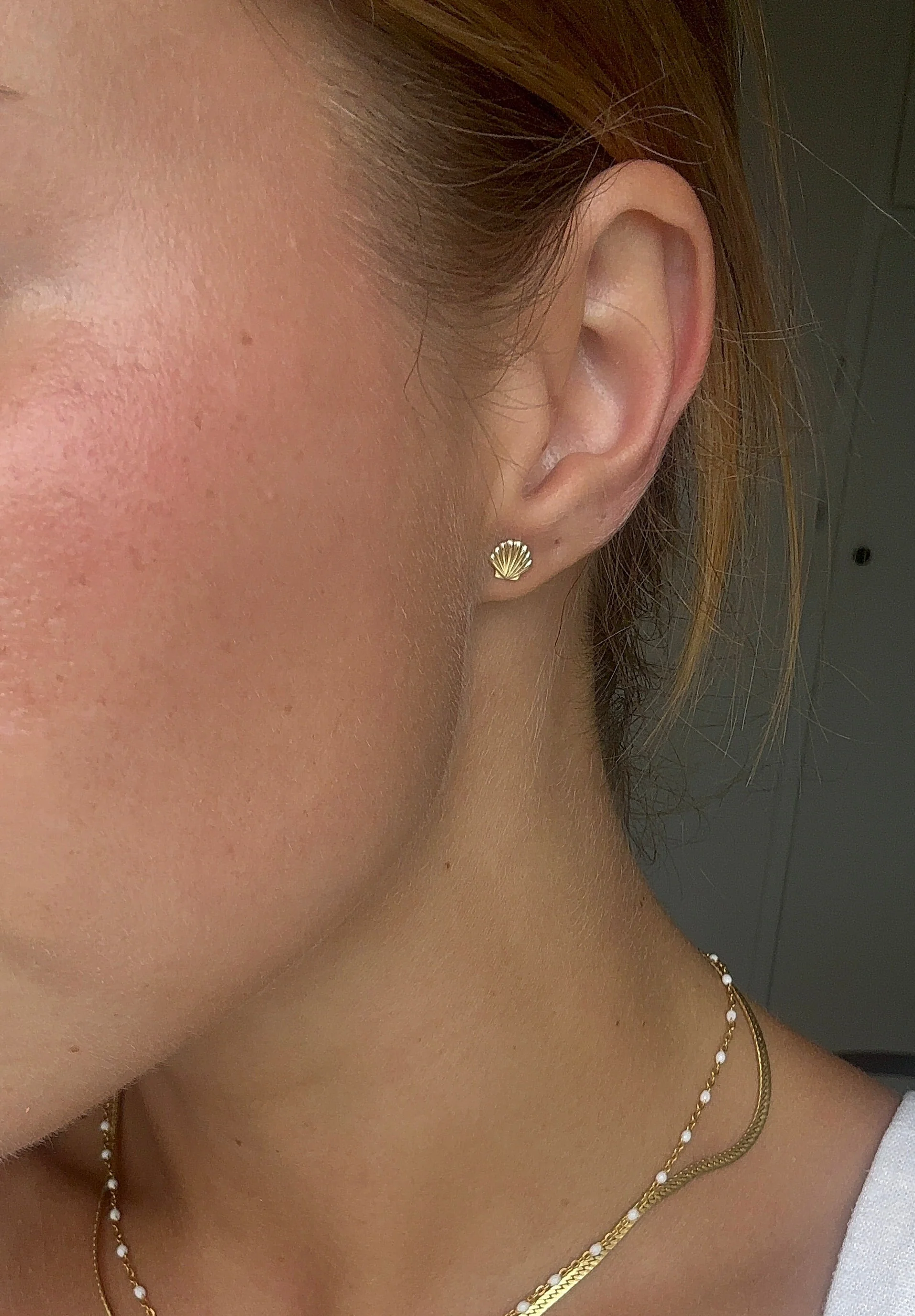 Seashell Studs