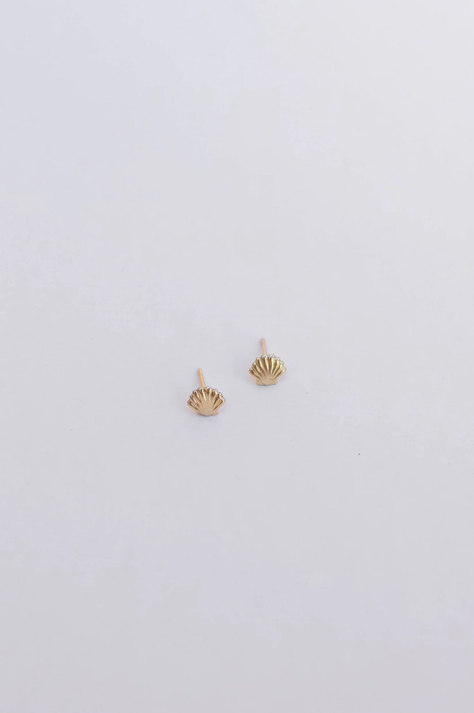 Seashell Studs - Image 2